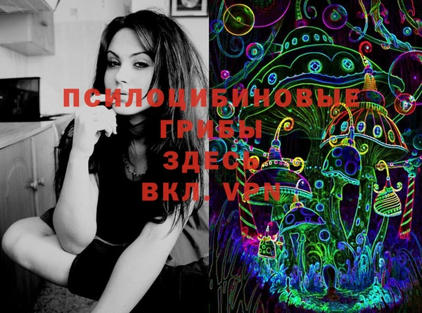 гидра Кукмор