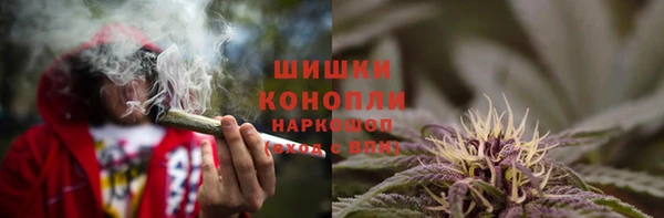 spice Краснослободск