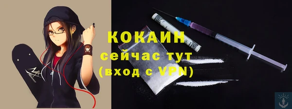 гидра Кукмор