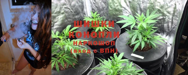 гидропоника Кулебаки