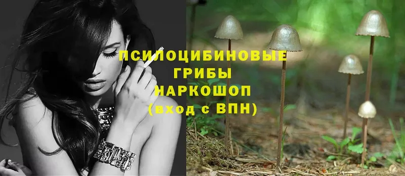 Галлюциногенные грибы Magic Shrooms Белокуриха