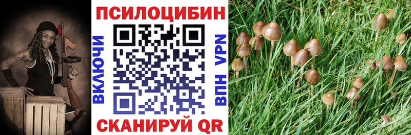 закладки  Белокуриха  KRAKEN ссылки  Галлюциногенные грибы GOLDEN TEACHER 